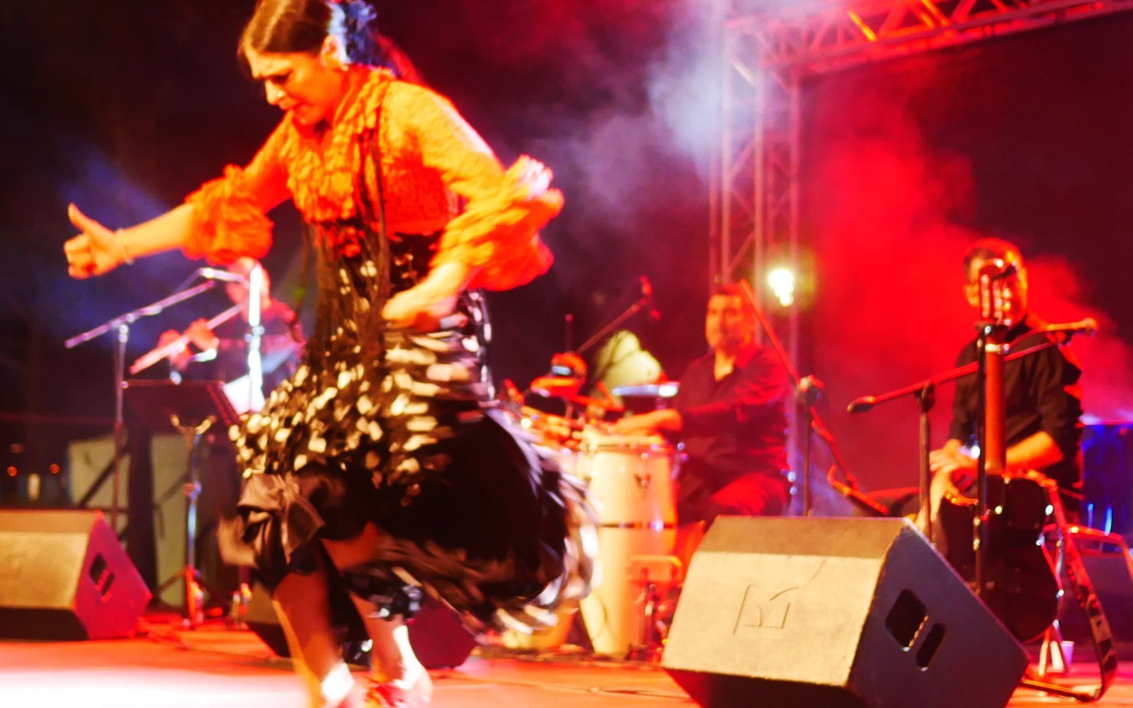 Karine en danse, les musiciens derrière
